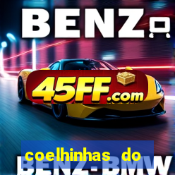 coelhinhas do brasil jp